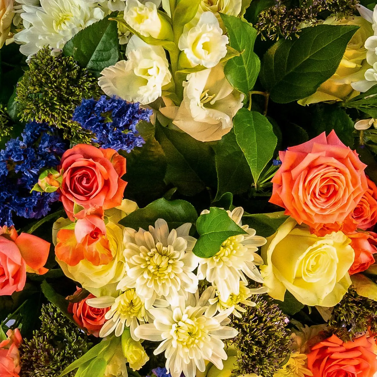 Розы микс и хризантемы в коробке