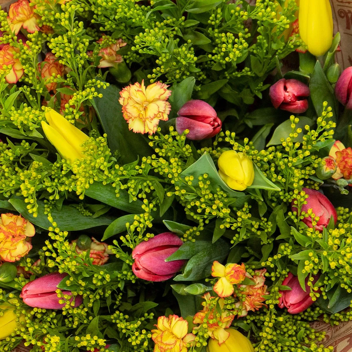 Букет из 23 тюльпанов