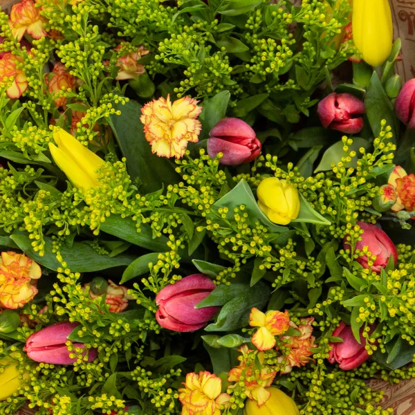 Букет из 23 тюльпанов