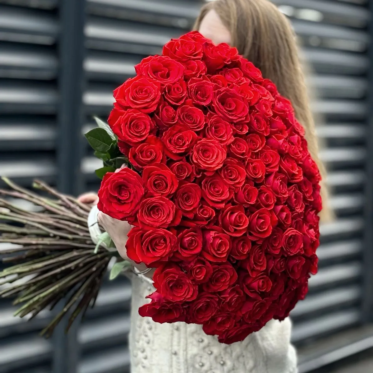 Букет 251 алая роза эквадор (70см)