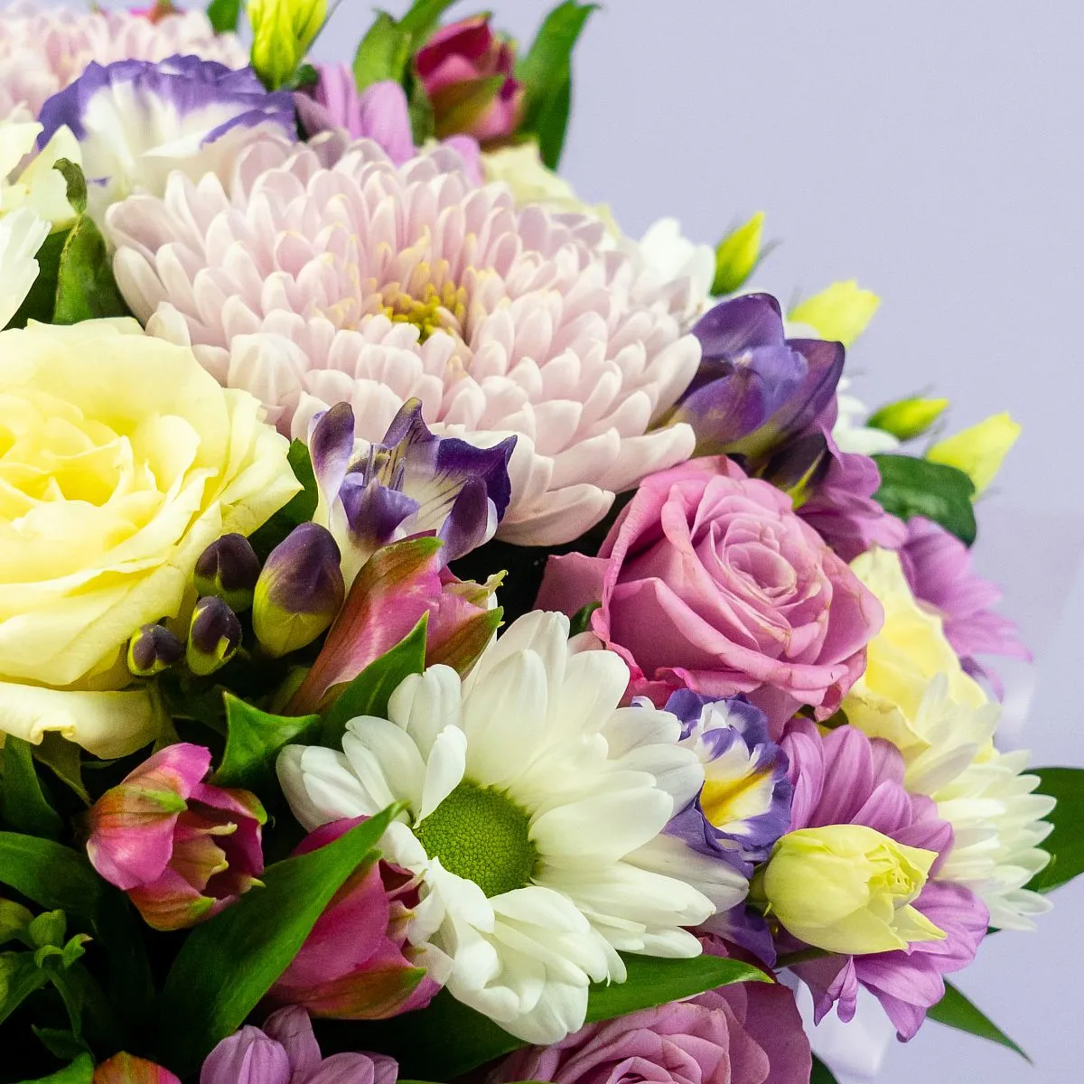 Хризантемы микс и розы (40 см) в коробке