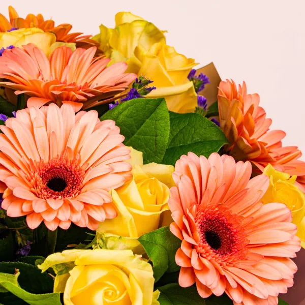 11 жёлтых роз и герберы