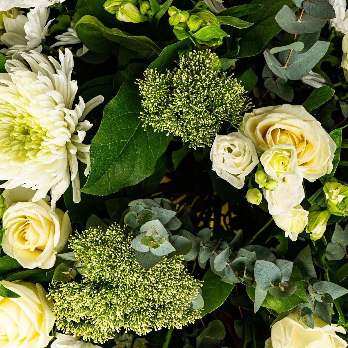 Белые хризантемы микс и розы