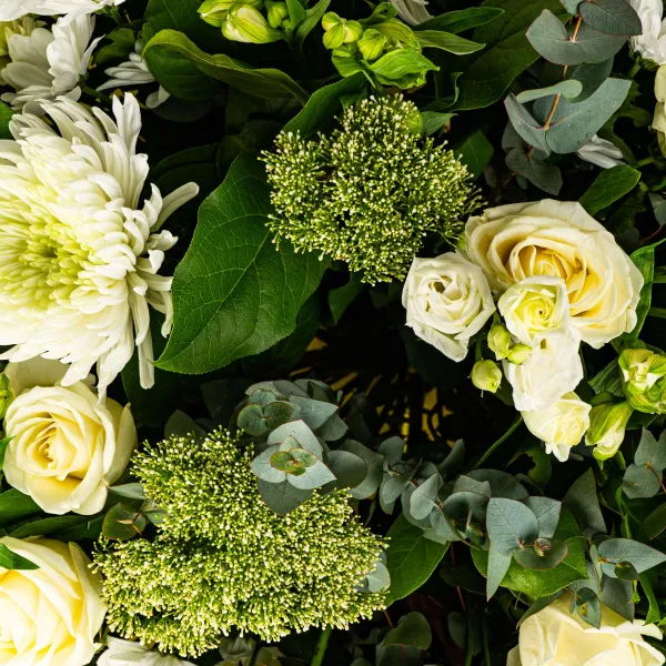 Белые хризантемы микс и розы