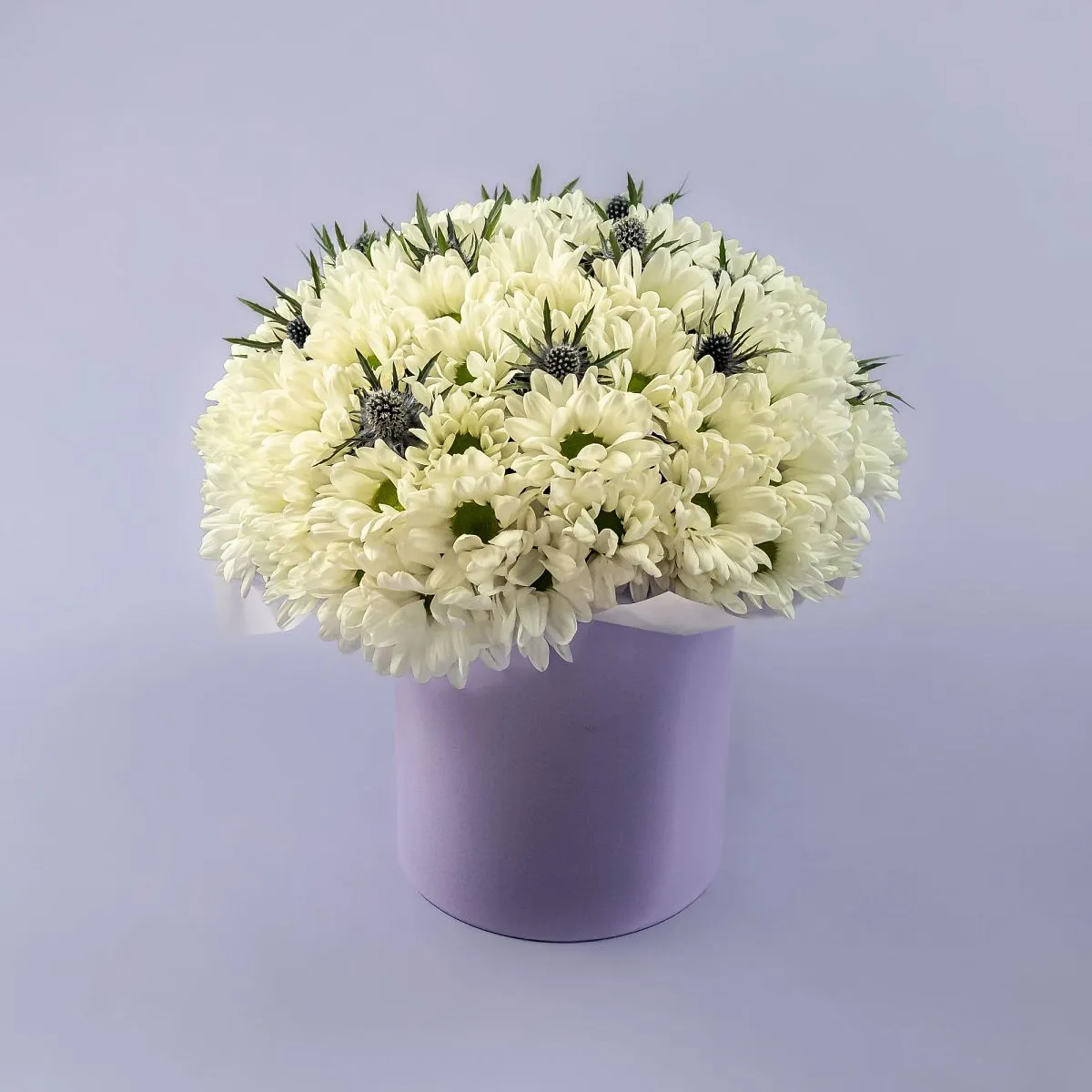 Белые хризантемы и эрингиумы в коробке