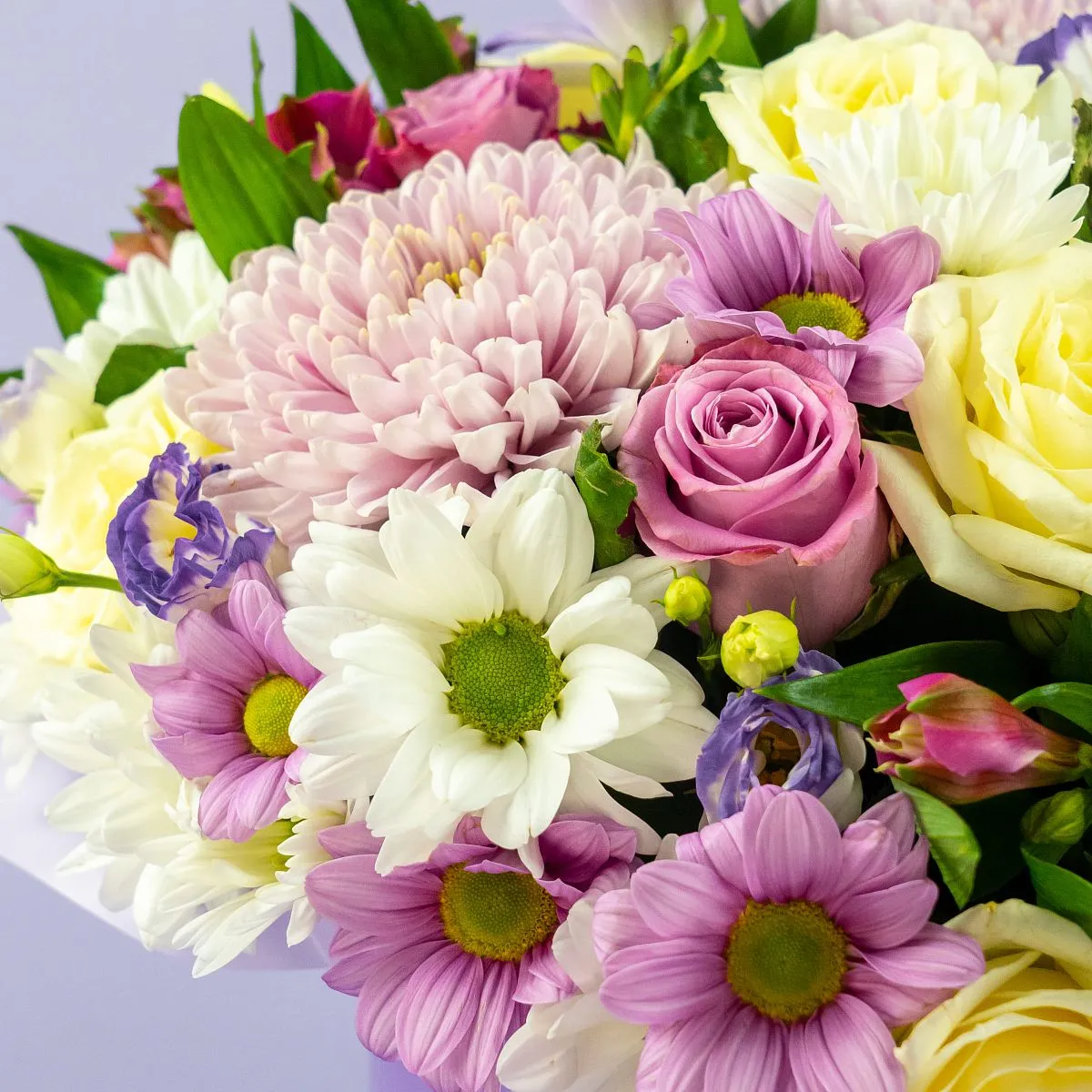 Хризантемы микс и розы (40 см) в коробке