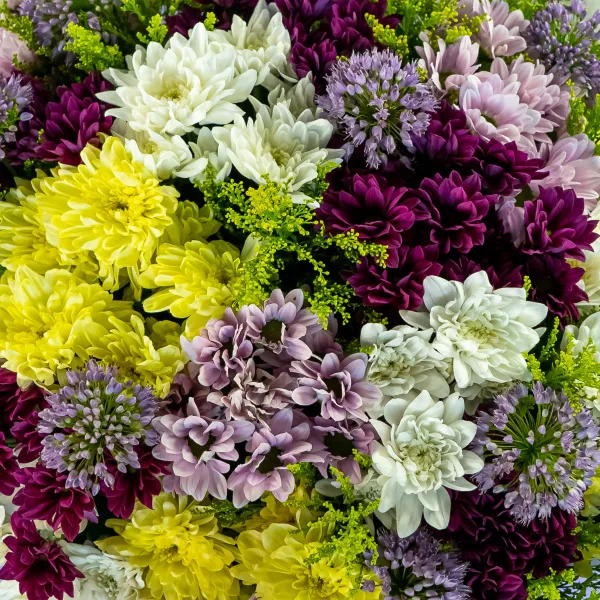 Букет из 25 хризантем микс и аллиума